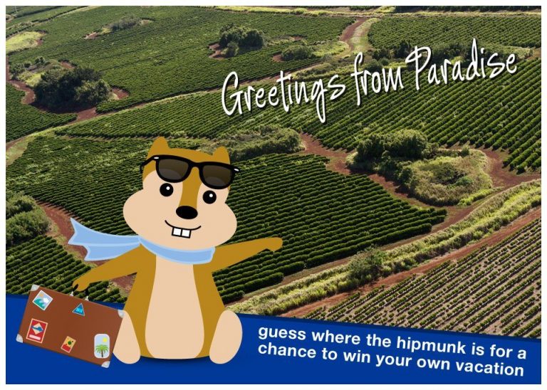 hipmunk-postcard