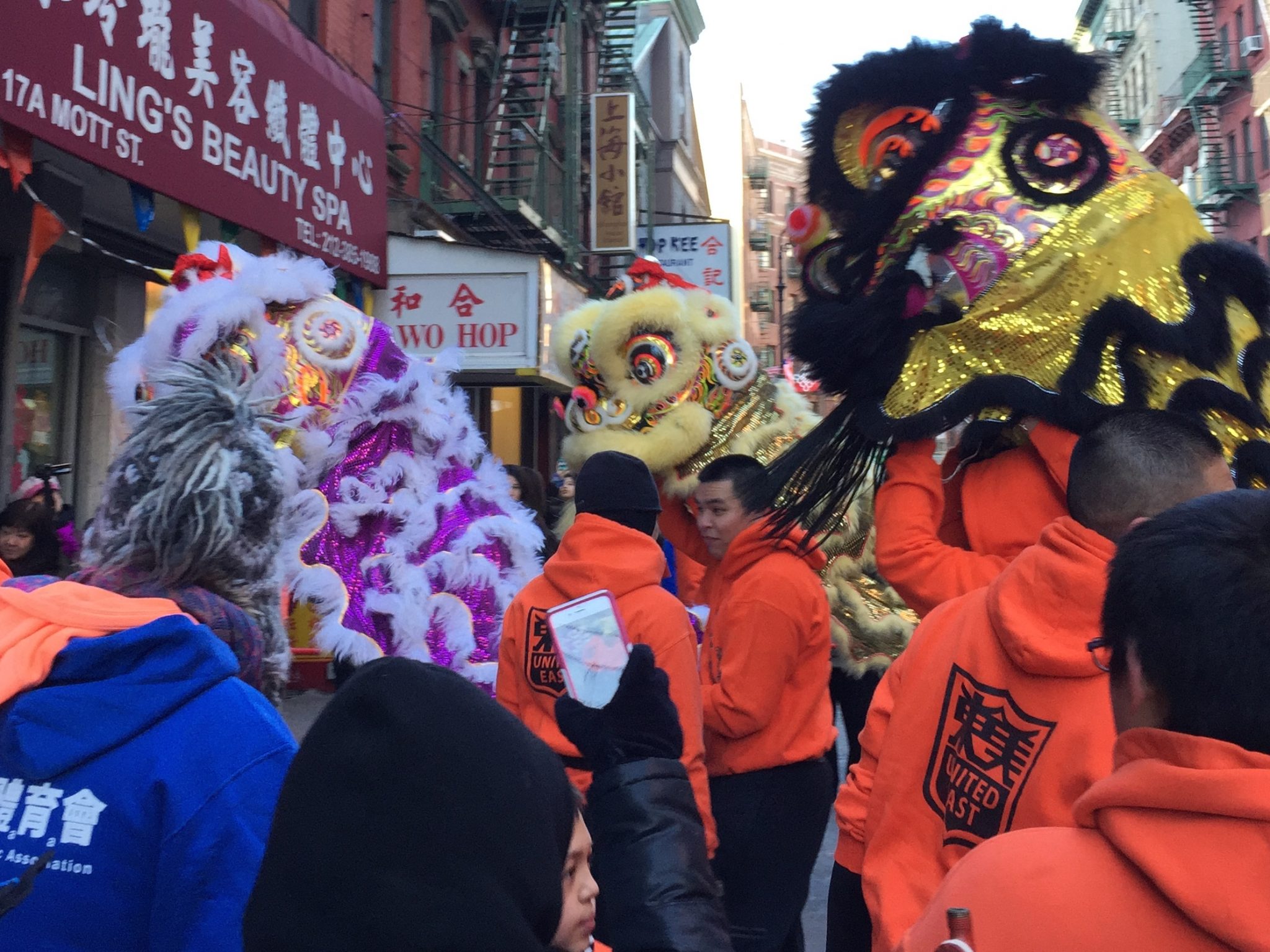 Chinatown dragons