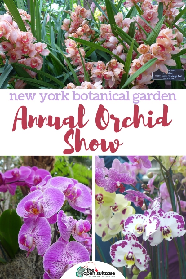 The Annual Orchid Show at the New York Botanical Garden is a sure sign that spring is on the way. The 2019 exhibit celebrates the orchid-loving culture of Singapore. #thingstodo #bronx #nyc #garden #orchidcare