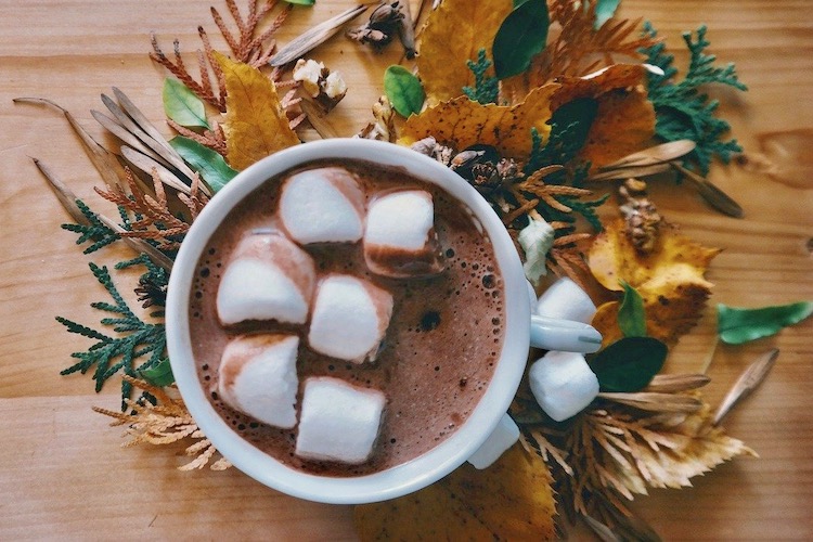 Hot Chocolate in the Hudson Valley: How to Warm Up this Winter