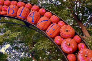 Entrance arch at the Great Jack O'Lantern Blaze in Croton NY