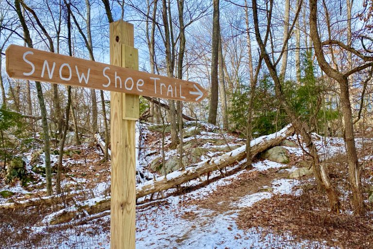 Pelton Pond snowshoe trail is a beautiful winter hike in NY's Hudson Valley