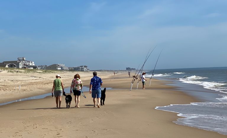 family walking with dogs on beach, one of the fun things to do in Delaware