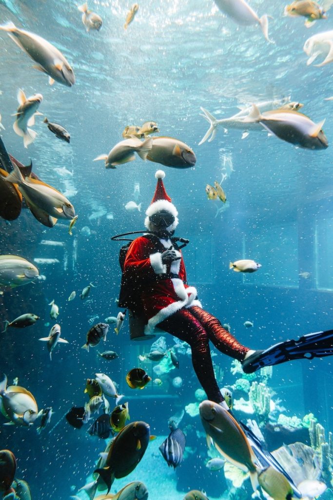 Man dressed as Santa scuba dives with fish in an aquarium at the 'Alohilani Resort.